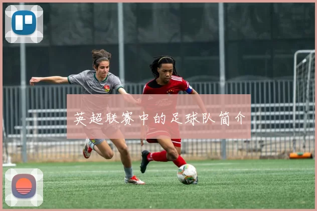 英超联赛中的足球队简介