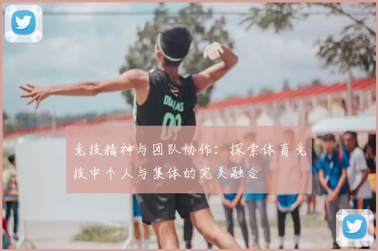 竞技精神与团队协作：探索体育竞技中个人与集体的完美融合