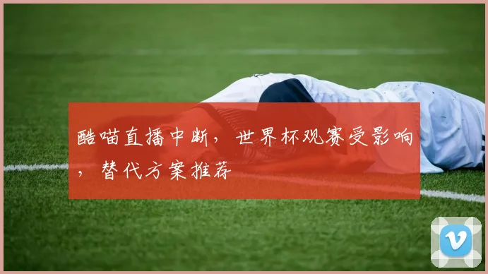 酷喵直播中断，世界杯观赛受影响，替代方案推荐