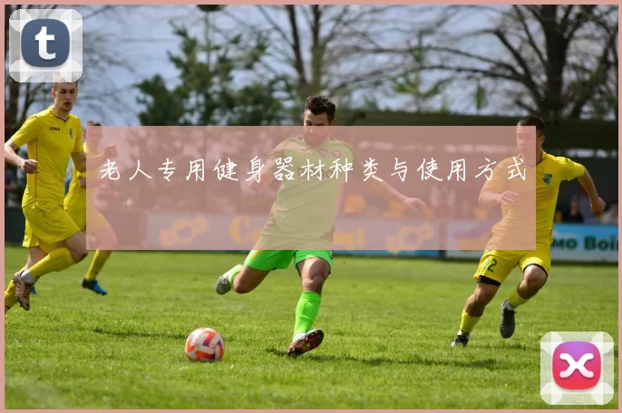 老人专用健身器材种类与使用方式