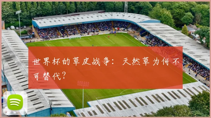 世界杯的草皮战争:天然草为何不可替代?