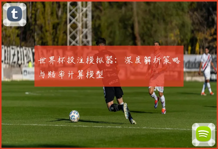 世界杯投注模拟器:深度解析策略与赔率计算模型